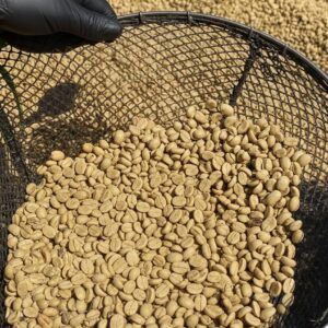 Café orgánico en pergamino 25 kilos
